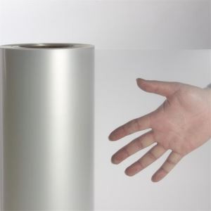 Физиологичен лист PP за листна опаковка